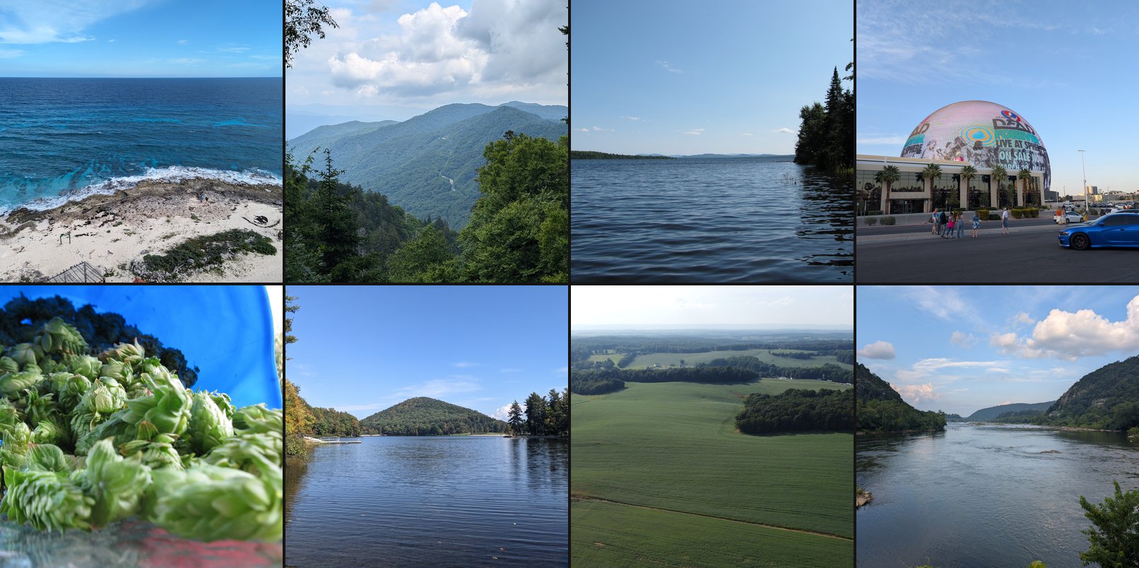 A selection of photos from the gallery