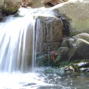 A small waterfall cascading over mossy rocks into a clear pool, captured with a slow shutter speed that gives the water a smooth, silky appearance.