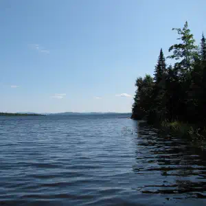 A calm Maine lake stretching to the horizon with dark blue water, distant mountains, and evergreen trees along the right shoreline under a clear sky.