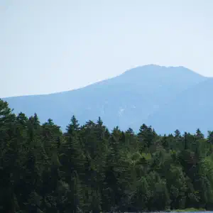 A large mountain rises behind a dense treeline of evergreens along the shore of a calm lake on a hazy summer day.