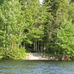 A rocky lakeside campsite with a small beach landing surrounded by dense birch and evergreen trees viewed from the water.