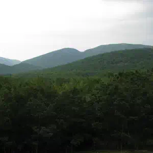 A hazy view of layered green mountain ridges covered in dense forest under an overcast sky.