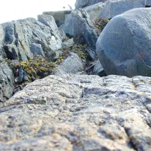 A smooth round dark boulder nestled among rough granite rocks on a coastline, with bits of seaweed visible in the crevices.
