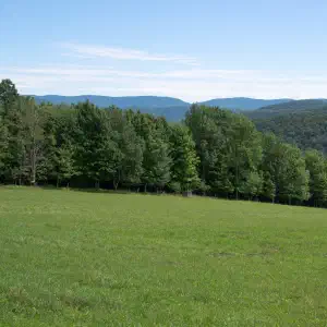 A sweeping green meadow stretches toward a tree line with layered blue mountain ridges visible in the distance under a clear sky.