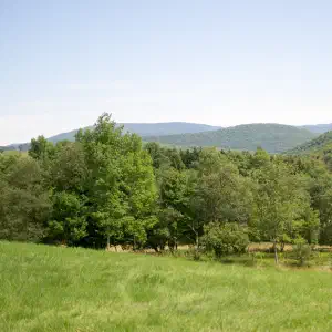 A green pasture in the foreground leads to a mixed tree line with forested mountains and hazy blue ridges in the background.