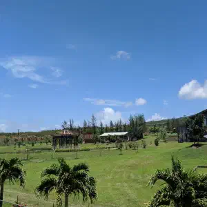 A green hillside farm with palm trees, a solar panel, and rustic buildings beneath a lush tropical mountain under blue skies.