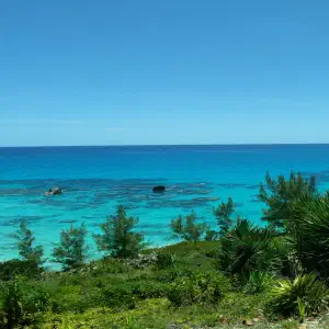 A panoramic view of vivid turquoise ocean water seen from a hilltop with tropical vegetation and a lone tree silhouetted against clear blue sky.