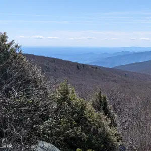 A sweeping view of layered Blue Ridge mountain ridges fading into the haze with bare deciduous trees and evergreens in the foreground.