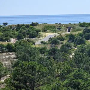 An elevated view over pine trees and sandy terrain toward a concrete military observation structure with the ocean visible on the horizon.