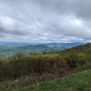 A moody overlook of the Blue Ridge Mountains with layered green ridges under heavy gray clouds and spring shrubs in the foreground.