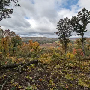 A wooded hillside in autumn with golden and orange foliage overlooking a patchwork valley landscape under partly cloudy skies.
