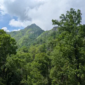 A lush green mountain peak with exposed rocky cliffs rising above a dense canopy of deciduous trees under a partly cloudy sky.
