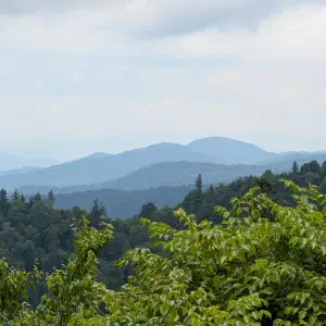 Multiple layers of forested mountain ridges receding into misty blue haze with bright green leaves in the foreground and cloudy skies.