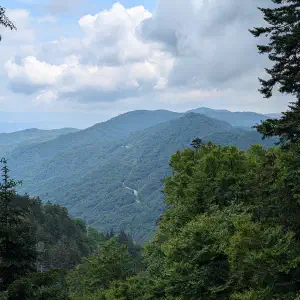 Layered mountain ridges fading into blue haze with dense green forest in the foreground and overcast skies above.