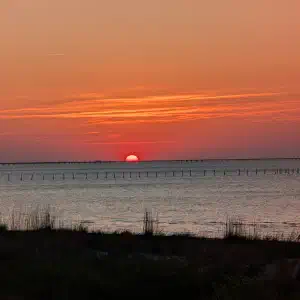 Deep orange sunset over the Chesapeake Bay with the silhouette of a long bridge spanning the horizon and wooden pilings in the water