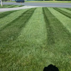 A neatly mowed lawn with parallel stripes of light and dark green grass, a road visible in the background with parked vehicles.