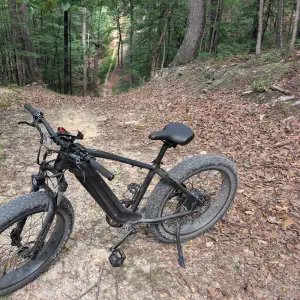 Fat tire electric bike resting on a dirt singletrack trail winding through a dense deciduous forest covered in fallen leaves